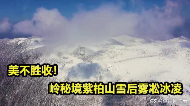 逗小猴开心系列175