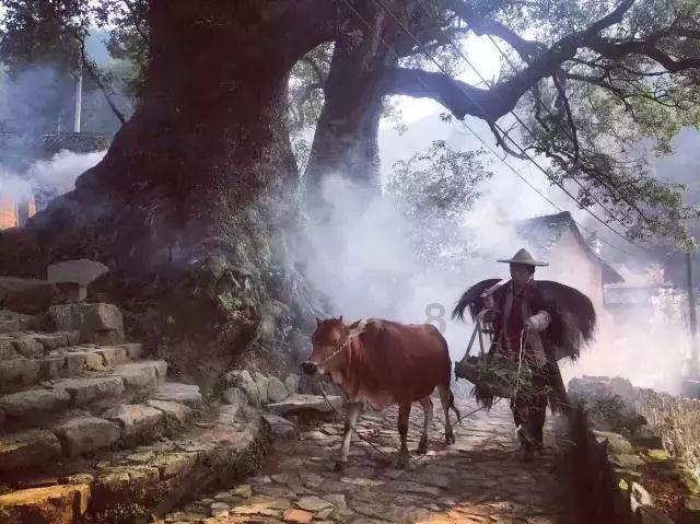 【晚安海报】来,分享一下你的新年愿望