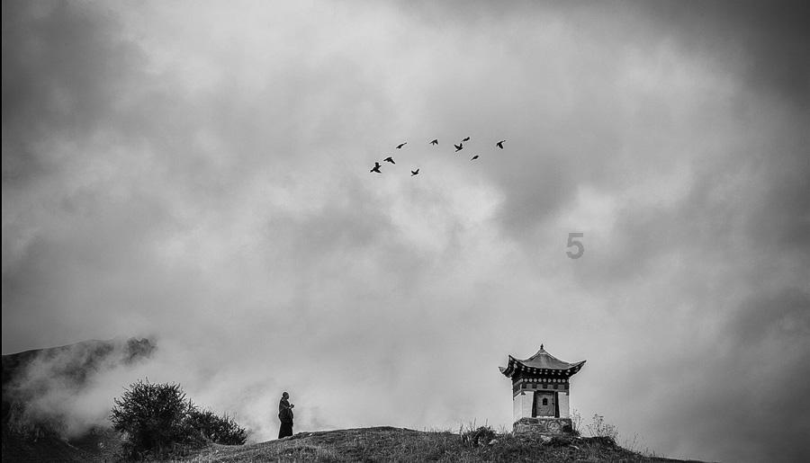 婴儿红屁股怎么办游戏画面